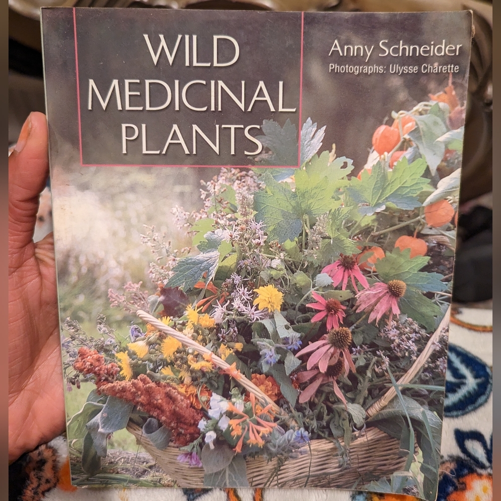 Wild Medicinal Plants By Anny Schneider PaperBack Book